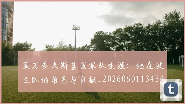 莱万多夫斯基国家队生涯：他在波兰队的角色与贡献_20260601134348_20260711201951